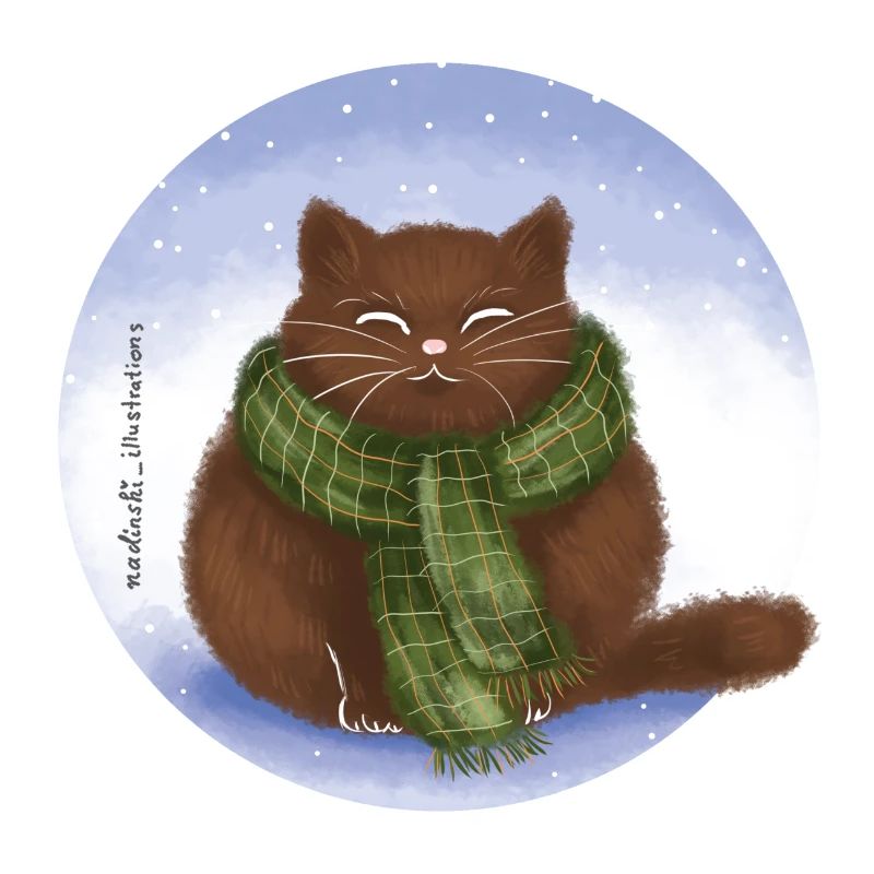 Katze Winter