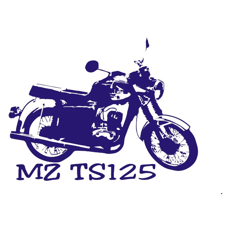 MZ TS125