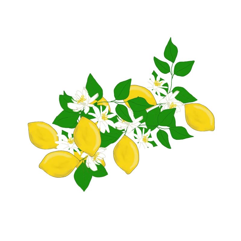 Zitronen, Zweig, Blüten