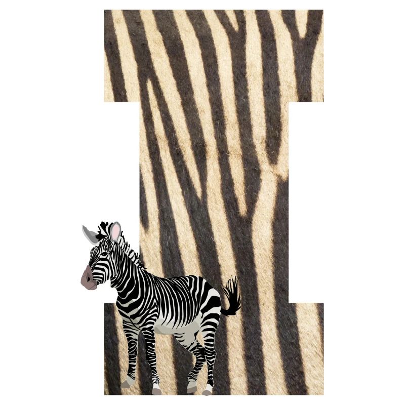 zebra i