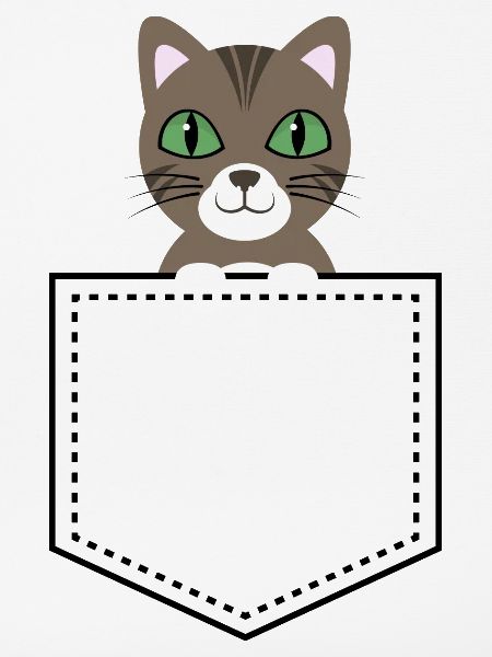 Taschentier Katze braun getigert