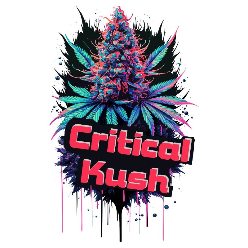 Critical Kush