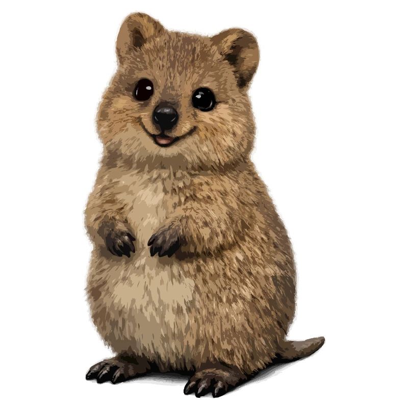Niedliche Quokka-Illustration