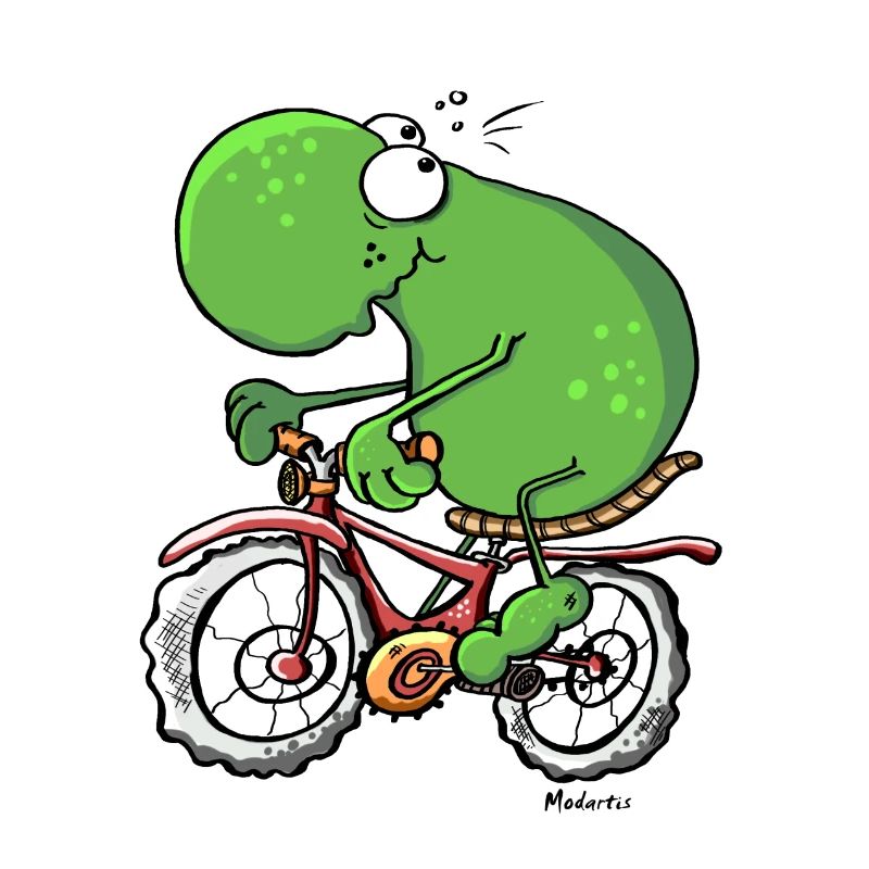 Radtour Frosch