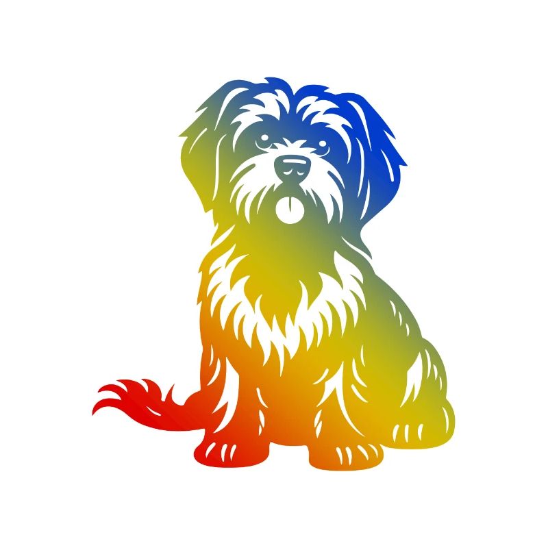 Havanese Dog