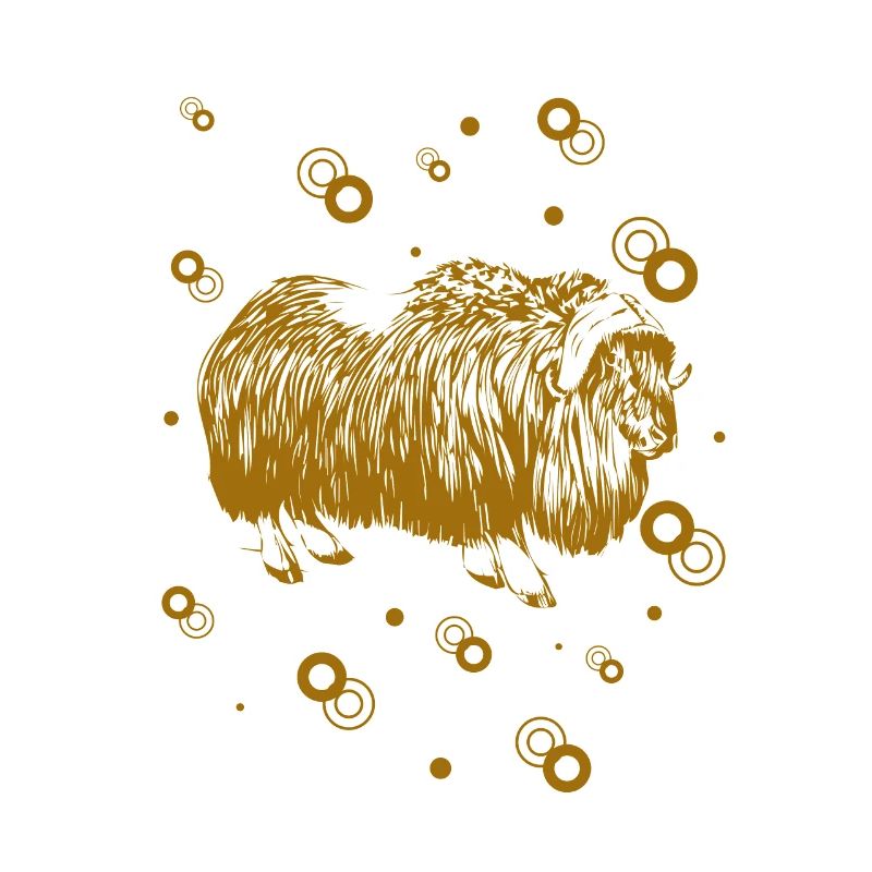 Bison - Büffel