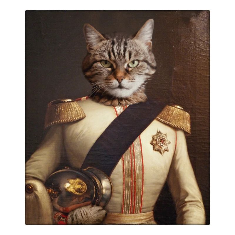 Cat Soldier