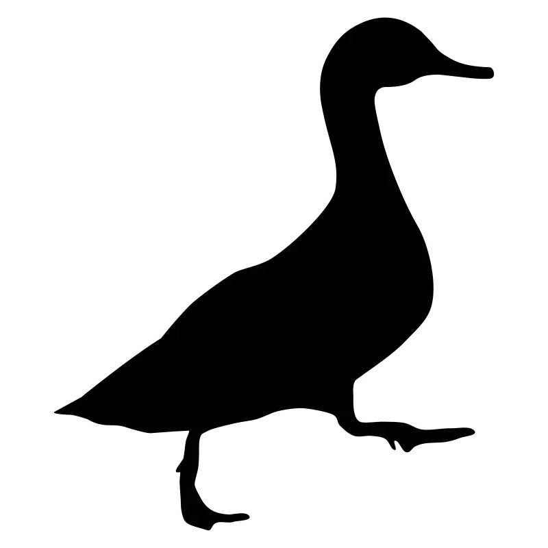 Ente
