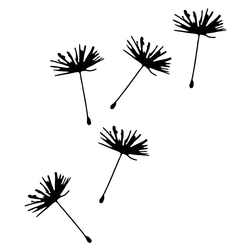 Löwenzahn Pusteblume Illustration