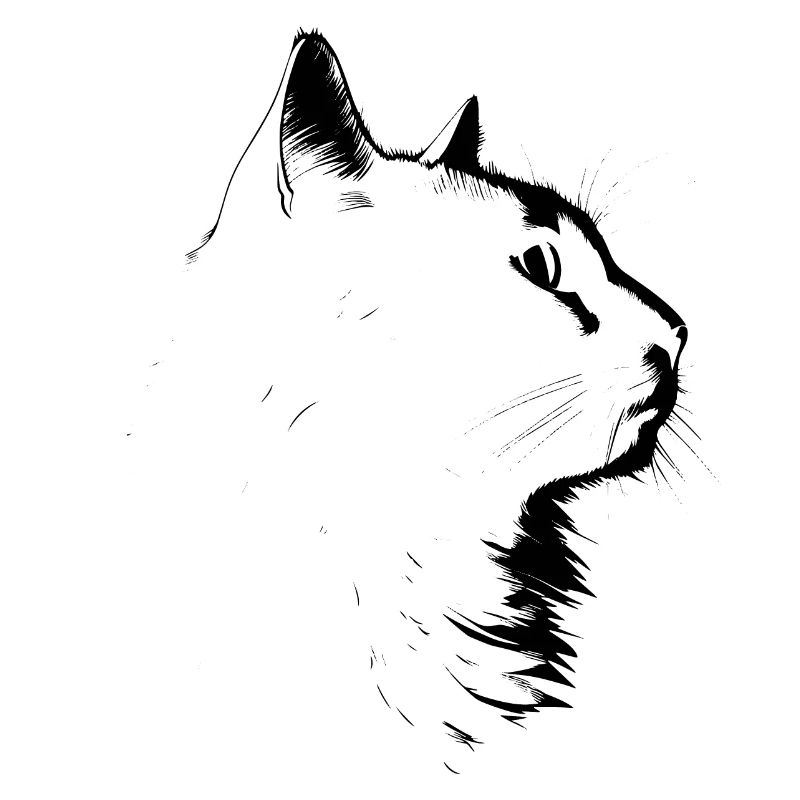 Katze, katzenmotiv