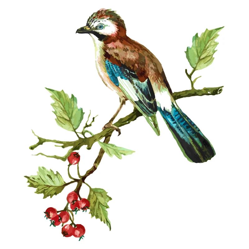 Bunter Vogel