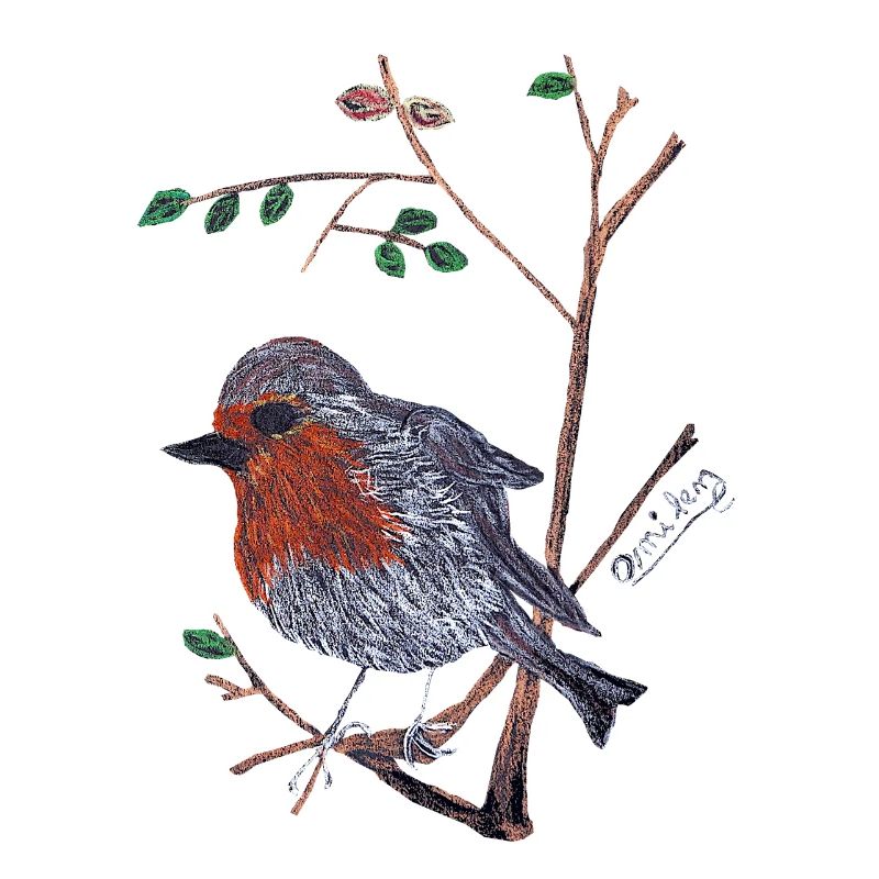 Ein charismatischer Robin
