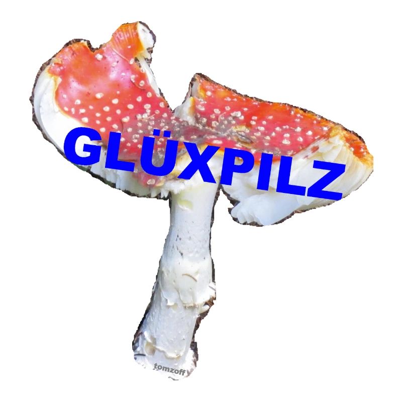 TOMZOFF Fliegenpilz