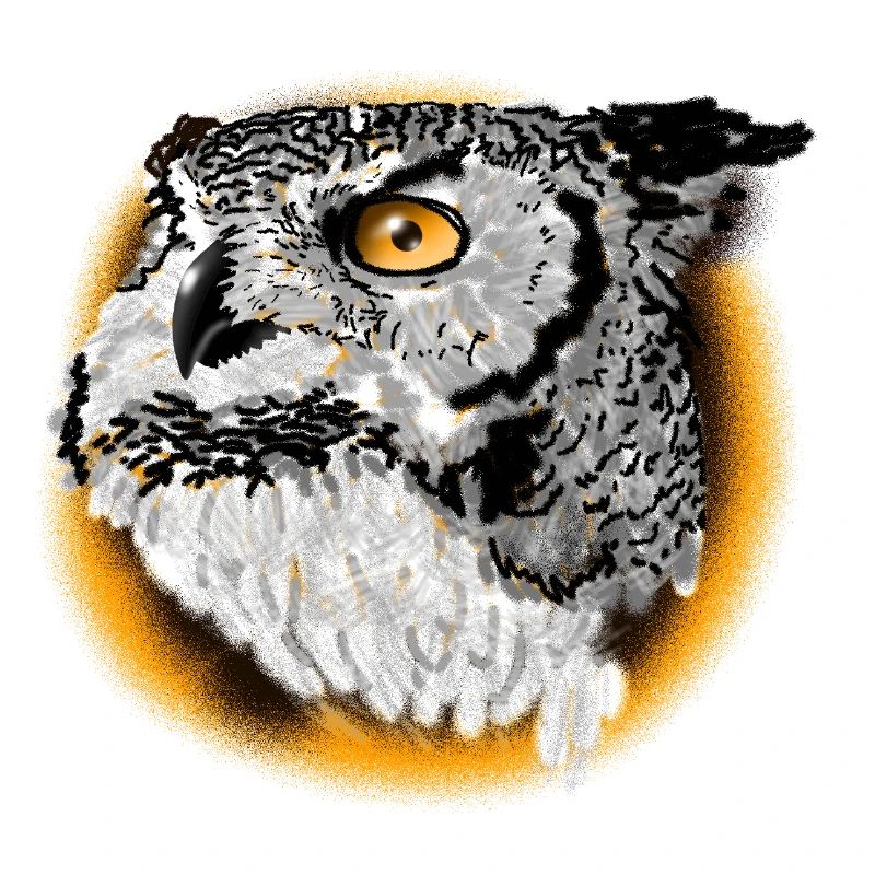 Nacht Eulenporträt