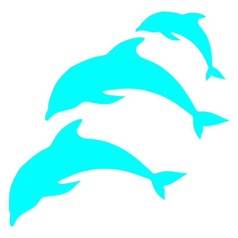 dolphin blue