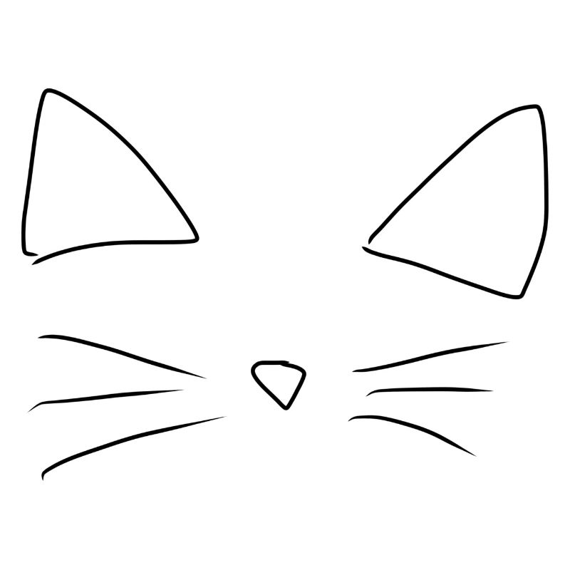 Tier Katze Haustier