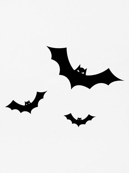 Fledermaus - Fledermäuse