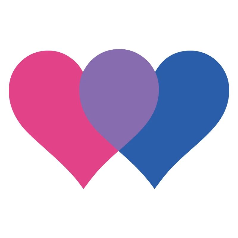 Rainbow Flag I LGBT I Bisexual Pride I Bisexual