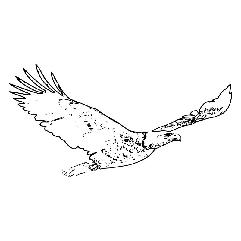 flying eagle