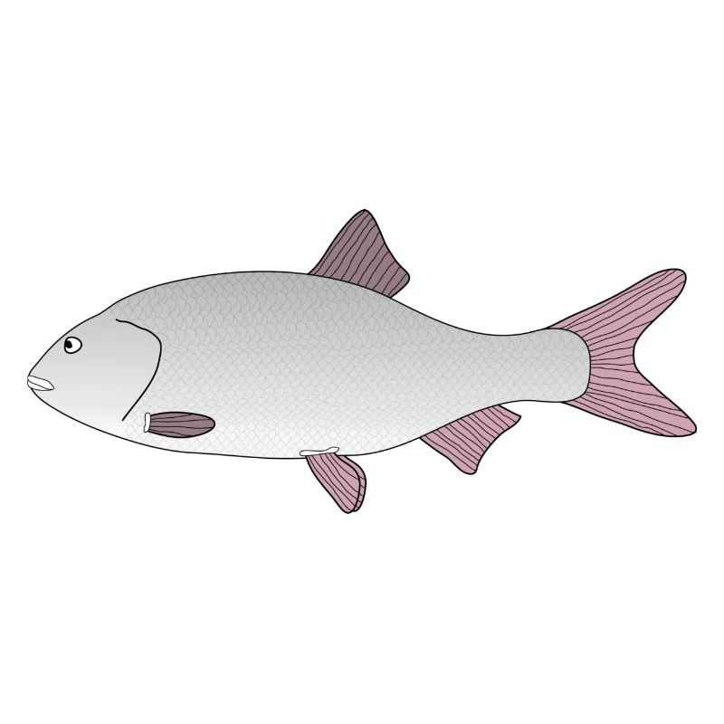 scarafaggio