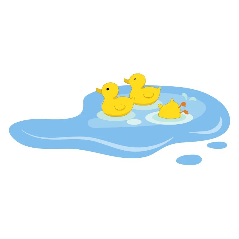 Canards dans une mare