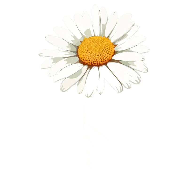 Fleur de marguerite avec script d’amour
