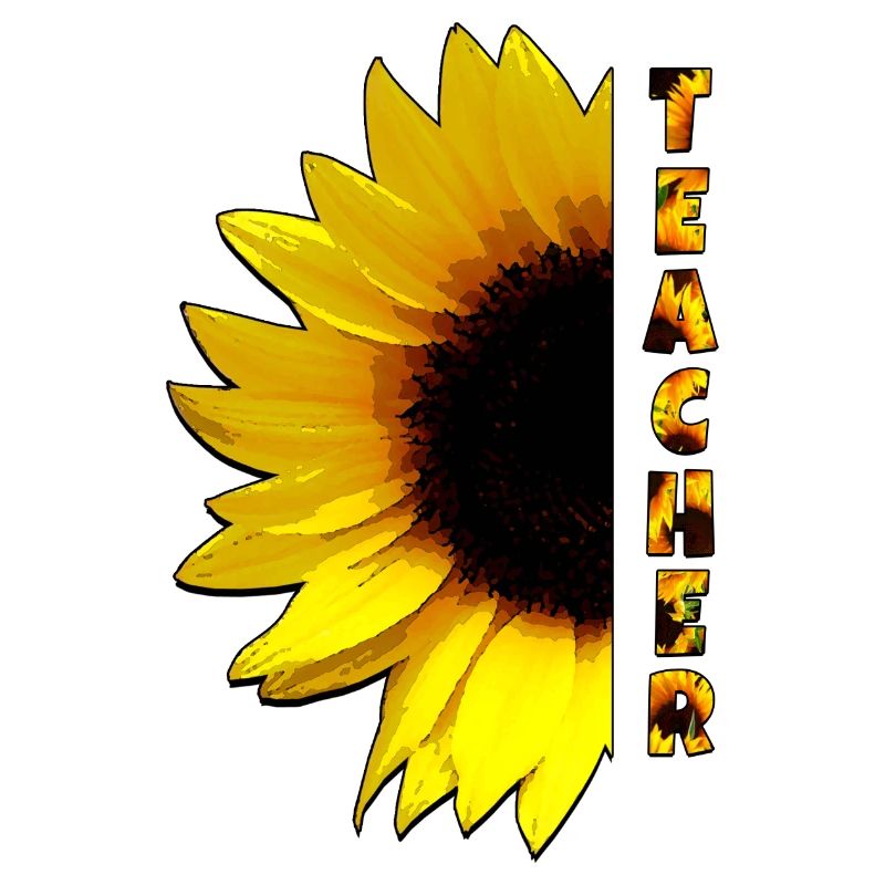 Lehrer Sonnenblume