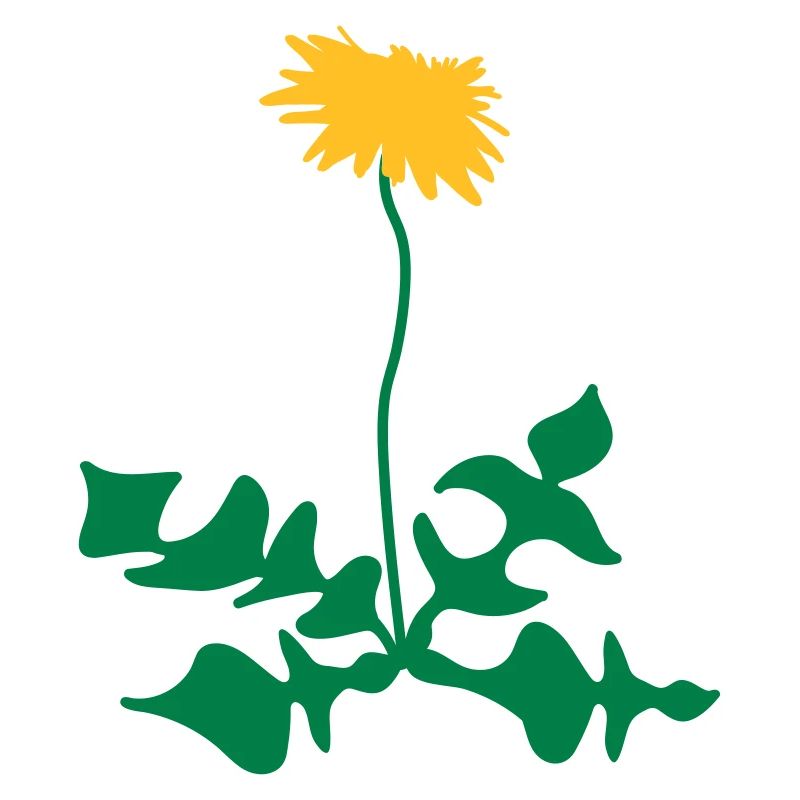 dandelion