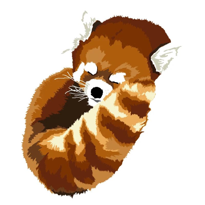 Schlafender roter Panda