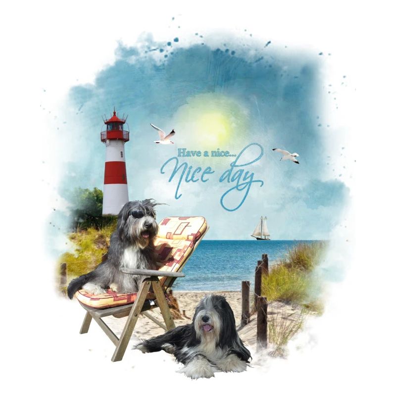 Bearded Collie - maritim