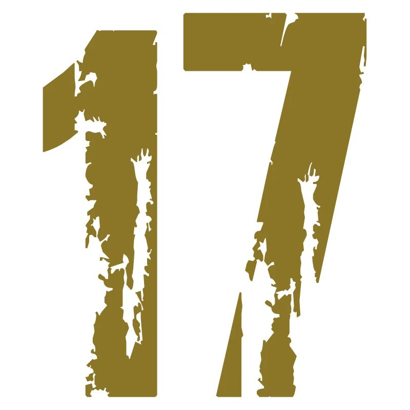 17 - Nummer