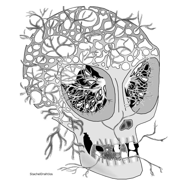 Skull white