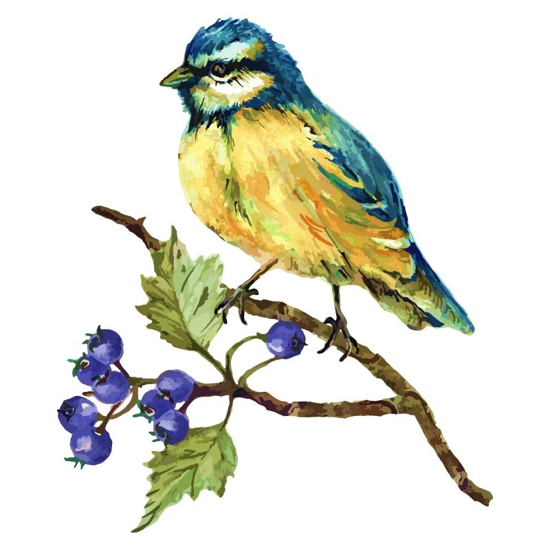 Bunter Vogel
