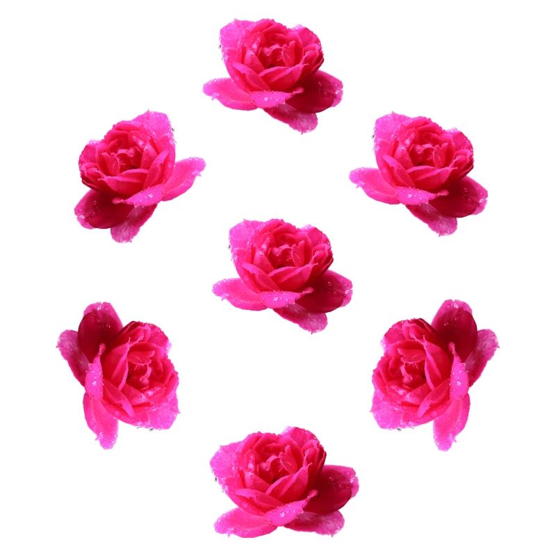 pink roses