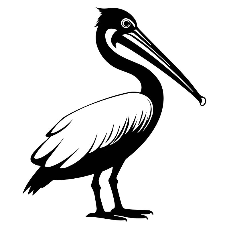 Pelikan