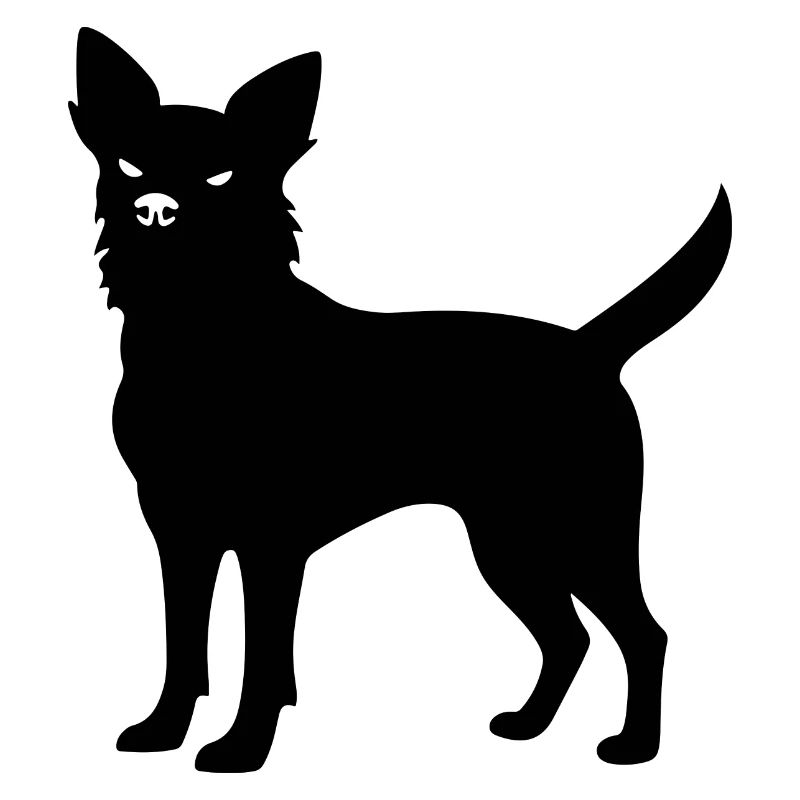 Chihuahua Hund