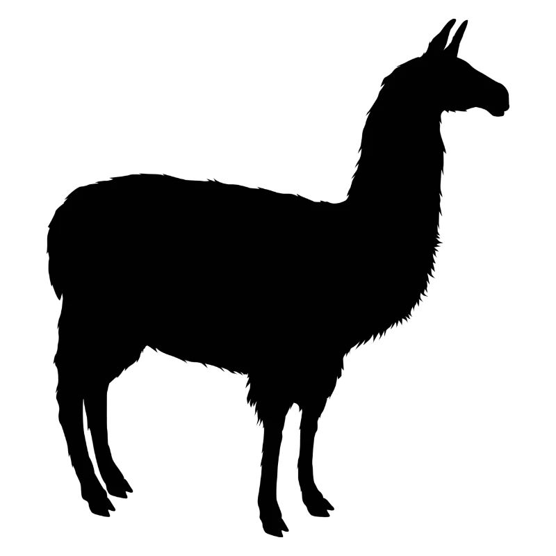 Schwarzes Lama