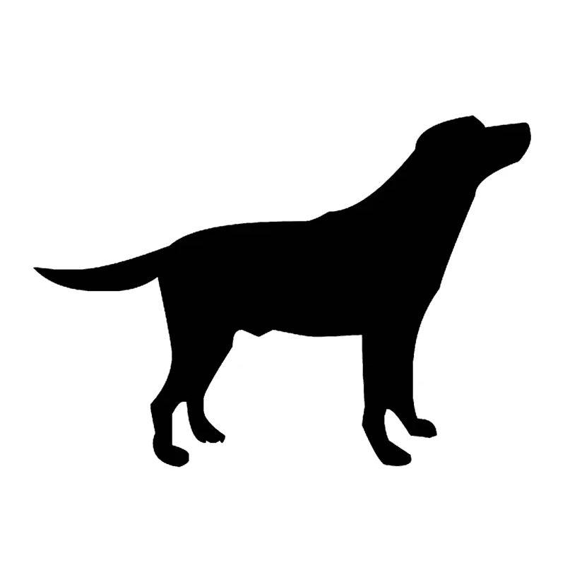 Hund Nr.2