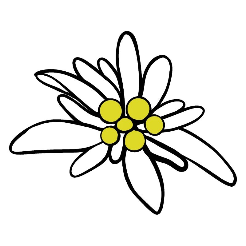 Edelweiß 1