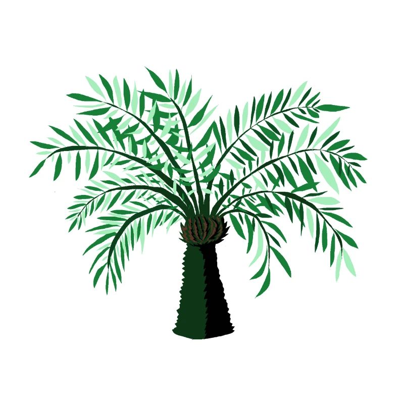 Baum 01
