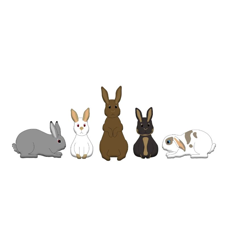 5 rabbits