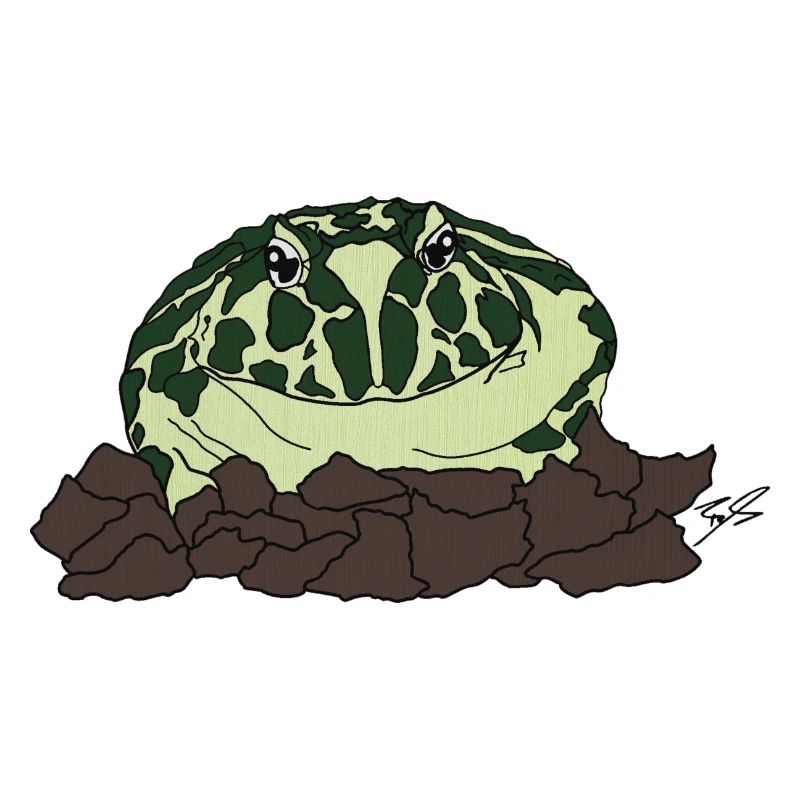 Schmuckhornfrosch