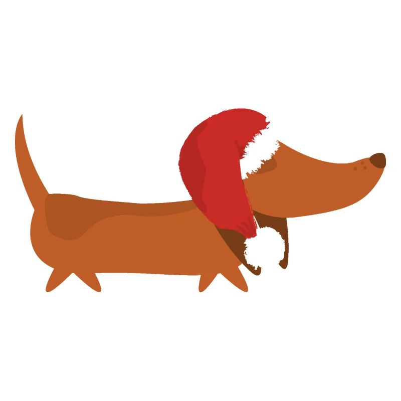  Dackel mit Weihnachtsmütze