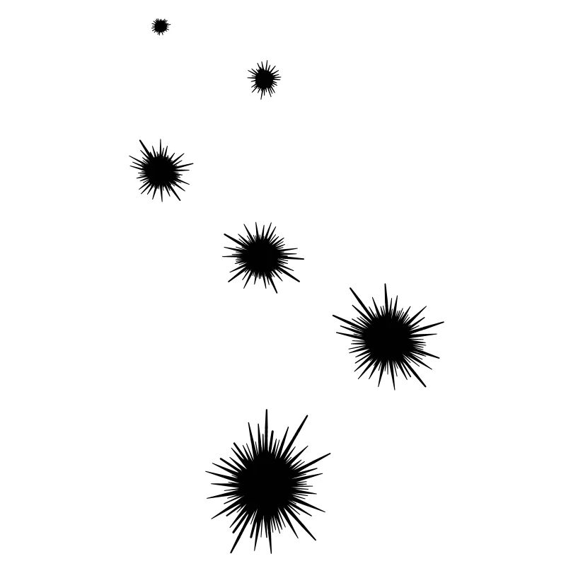 Seeigelicon symbol
