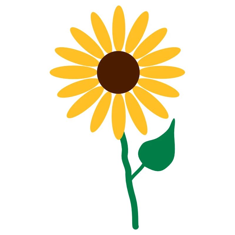 Blume