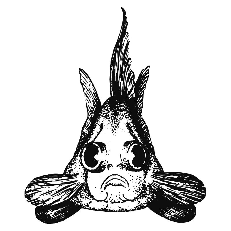 goldfisch-portrait-01
