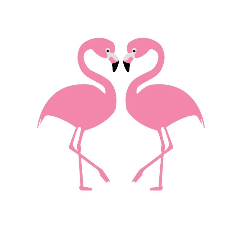 Flamingos