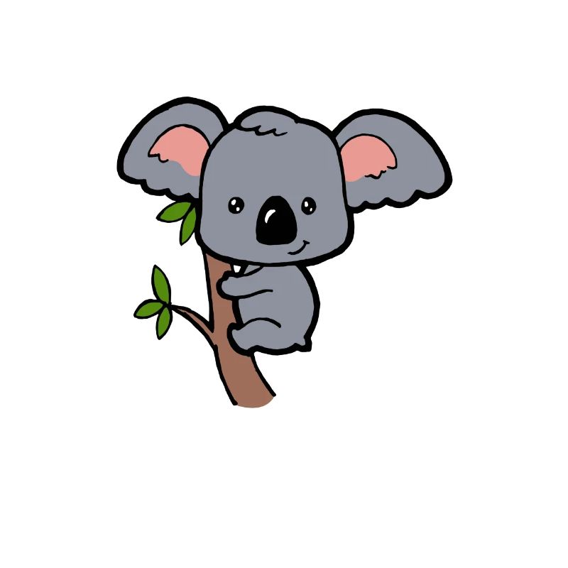 Bébé Koala doux petit bébé Koala Eucalyptus