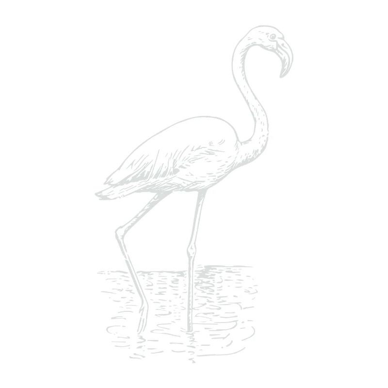 Flamingo Zeichnung