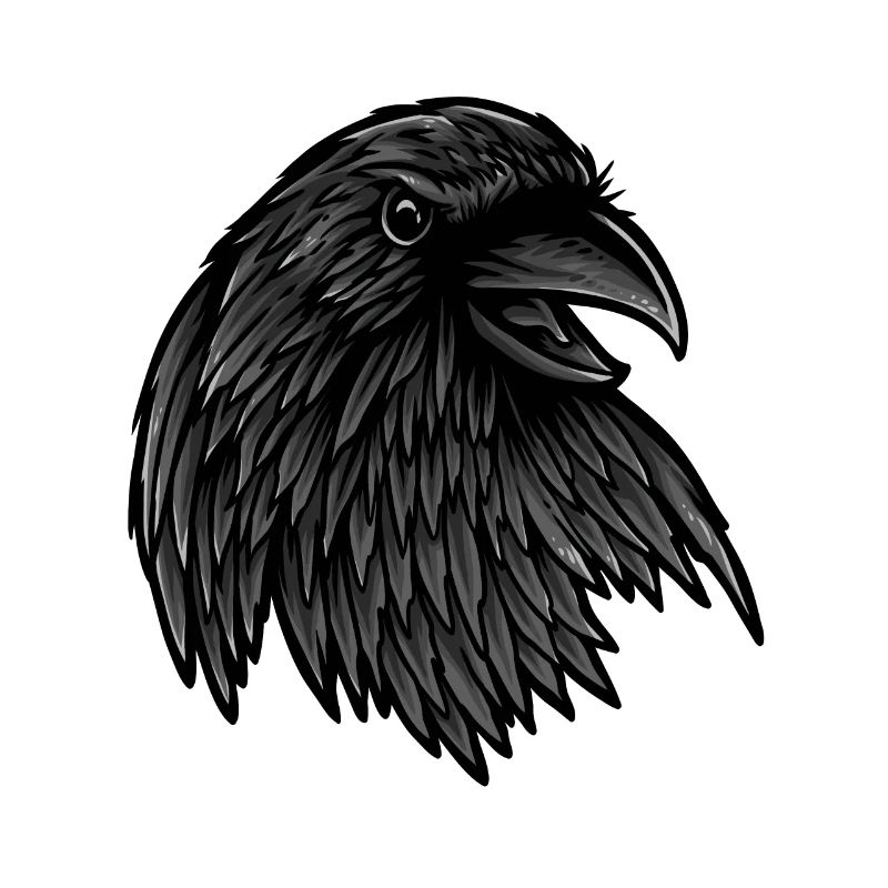 Raven Rabe